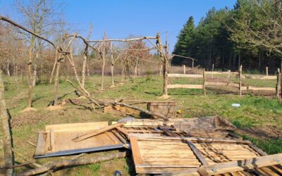 Acte de désolation aux jardins d’eau douce