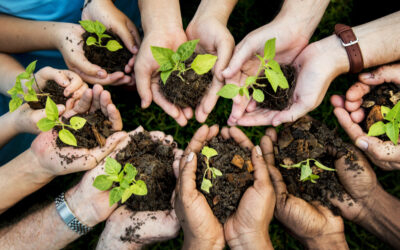 Inscrivez-vous à la ferme collective des Jardins d’eau douce