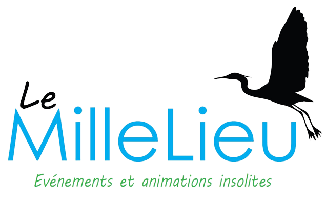 logo_ailes_droites-removebg-preview